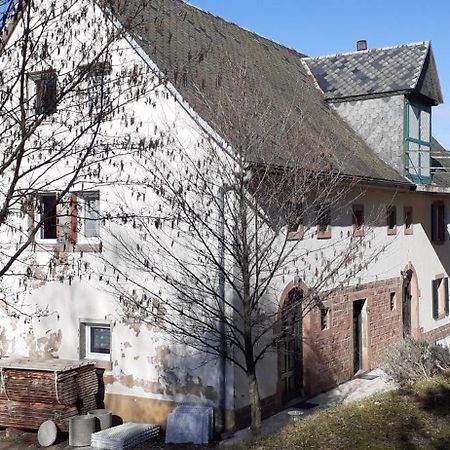 Nordiques De La Welche Villa Orbey Dış mekan fotoğraf