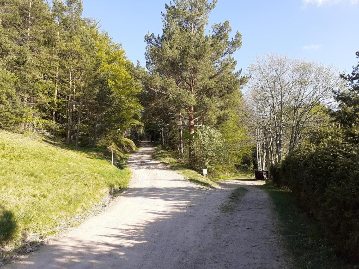 Nordiques De La Welche Villa Orbey Dış mekan fotoğraf