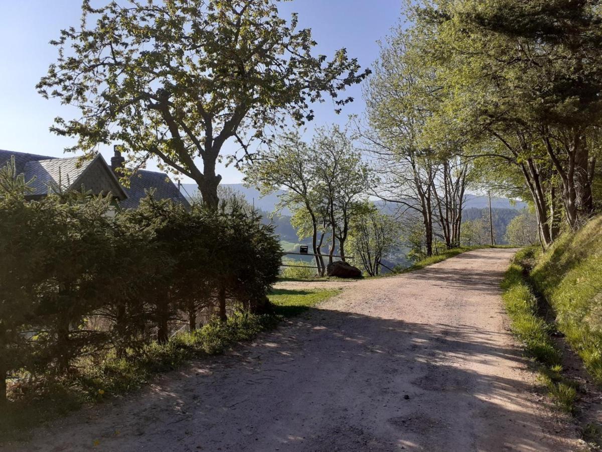 Nordiques De La Welche Villa Orbey Dış mekan fotoğraf