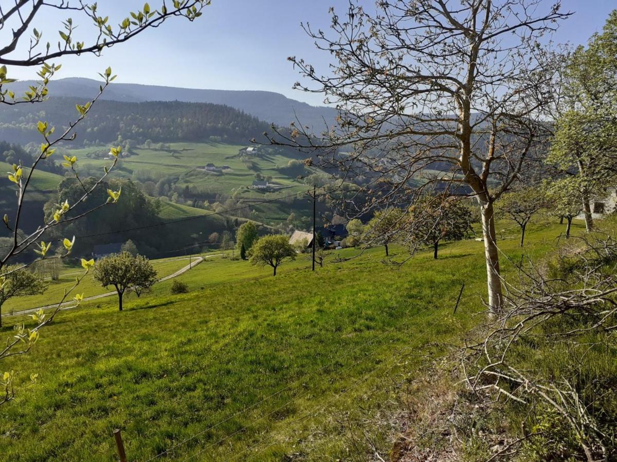 Nordiques De La Welche Villa Orbey Dış mekan fotoğraf