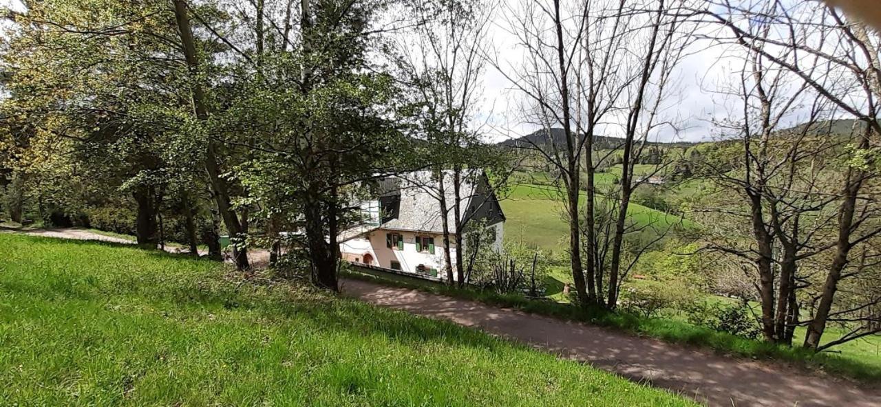 Nordiques De La Welche Villa Orbey Dış mekan fotoğraf