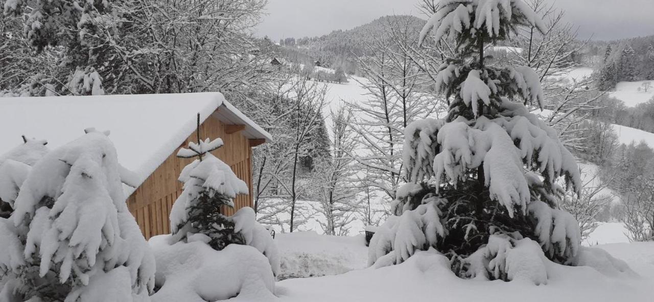 Nordiques De La Welche Villa Orbey Dış mekan fotoğraf