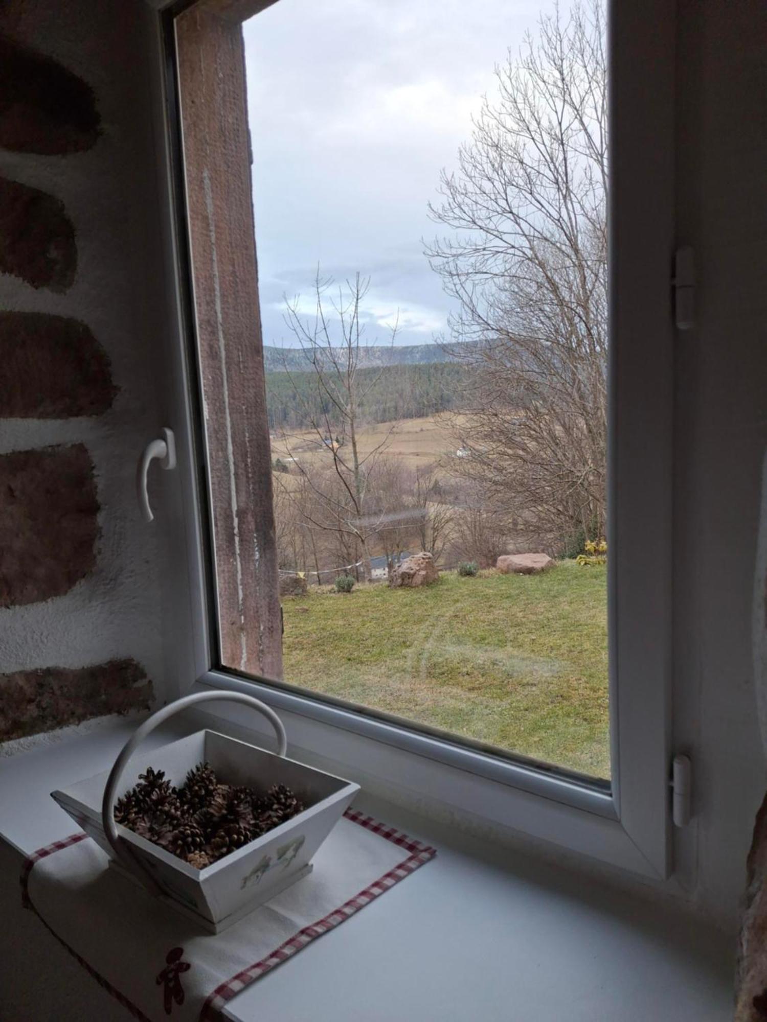 Nordiques De La Welche Villa Orbey Dış mekan fotoğraf